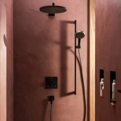 Hansgrohe Raindance Alive Select S Handbrause 125 3 Strahlarten -Hansgrohe Verkäufe hansgrohe brausenprogramm handbrausen raindance alive select 13946381