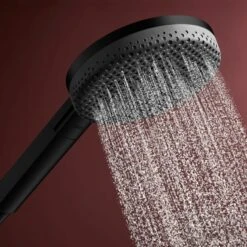 Hansgrohe Raindance Alive Select S Handbrause 125 3 Strahlarten -Hansgrohe Verkäufe hansgrohe brausenprogramm handbrausen raindance alive select 13955125