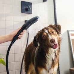 Hansgrohe DogShower Hundebrause 150 3 Strahlarten Select -Hansgrohe Verkäufe hansgrohe brausenprogramm hundebrause dogshower 150 3 6010381